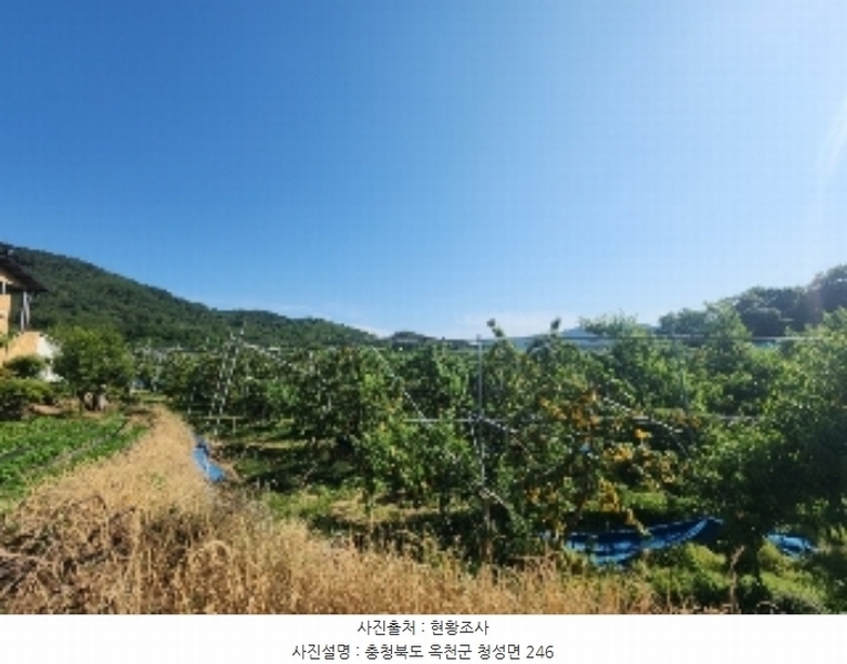 2024타경476 충청북도 옥천군 청성면 능월리 246 임야 경매 이미지