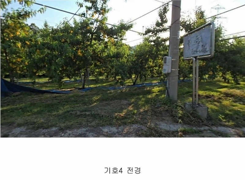 2024타경476 충청북도 옥천군 청성면 능월리 246 임야 경매 이미지