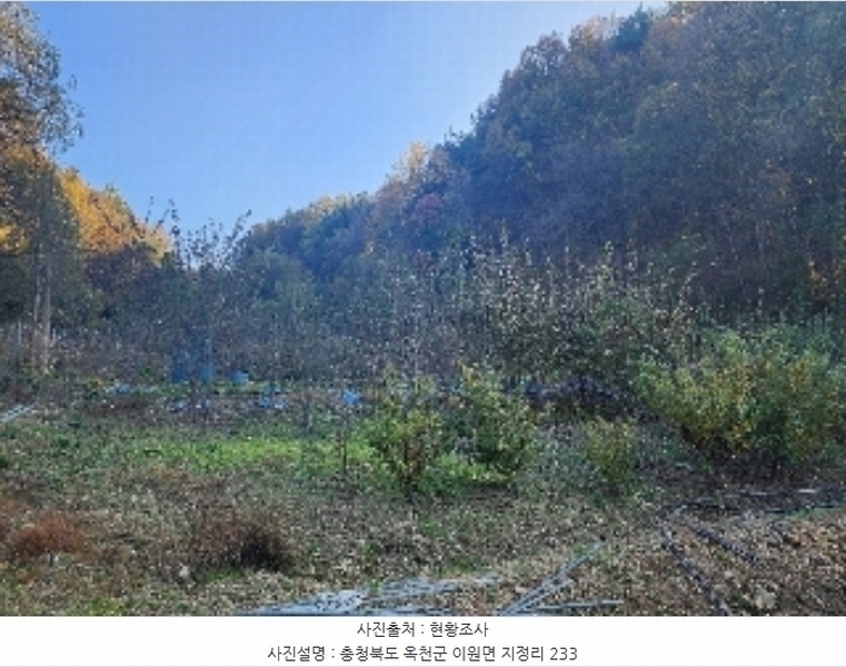 2024타경735 충청북도 옥천군 이원면 지정리 232 주택 경매 이미지
