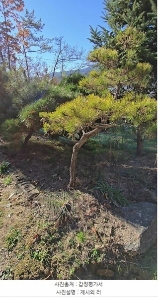 2024타경735 충청북도 옥천군 이원면 지정리 232 주택 경매 이미지