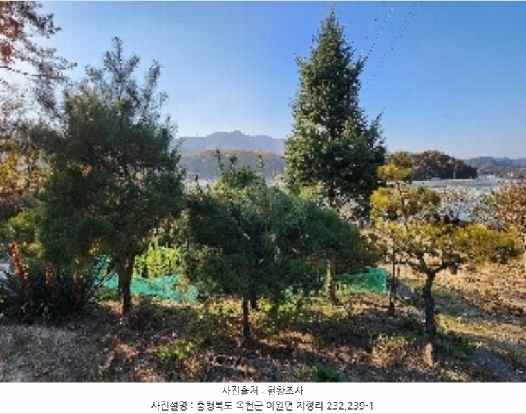 2024타경735 충청북도 옥천군 이원면 지정리 232 주택 경매 이미지