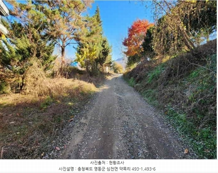 2024타경872 충청북도 영동군 심천면 약목리 493-1 근린시설 경매 이미지