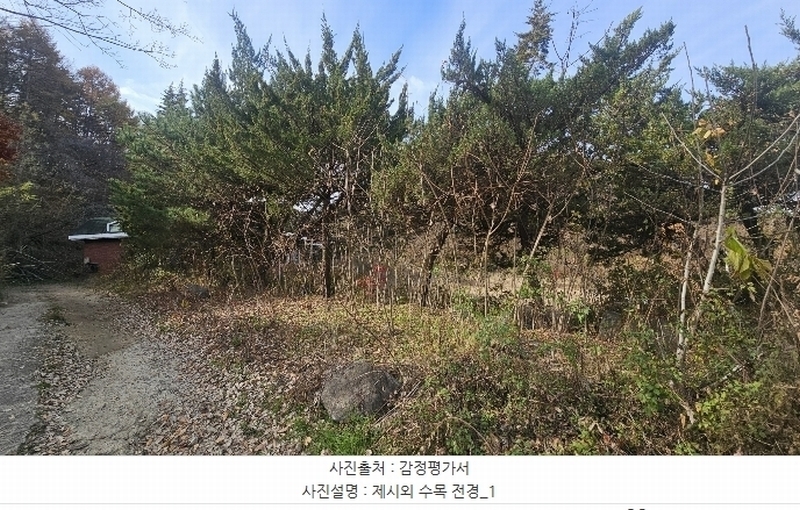 2024타경872 충청북도 영동군 심천면 약목리 493-1 근린시설 경매 이미지