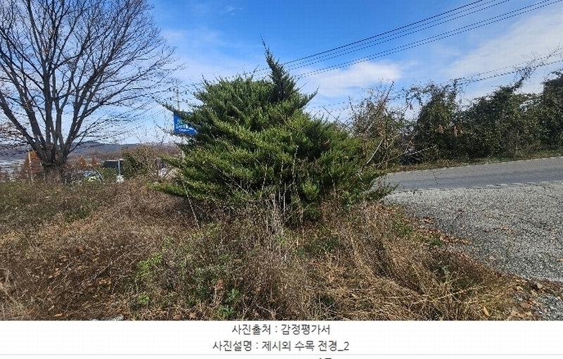 2024타경872 충청북도 영동군 심천면 약목리 493-1 근린시설 경매 이미지