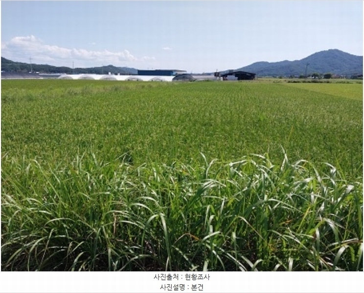 2024타경1059 충청남도 공주시 계룡면 화헌리 131-1 농지 경매 이미지
