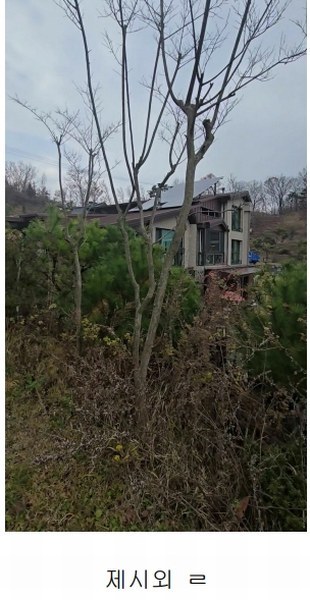 2024타경11407 충청북도 옥천군 군북면 증약리 1169 주택 경매 이미지