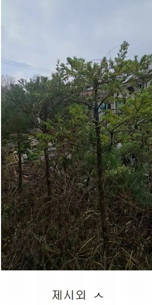 2024타경11407 충청북도 옥천군 군북면 증약리 1169 주택 경매 이미지