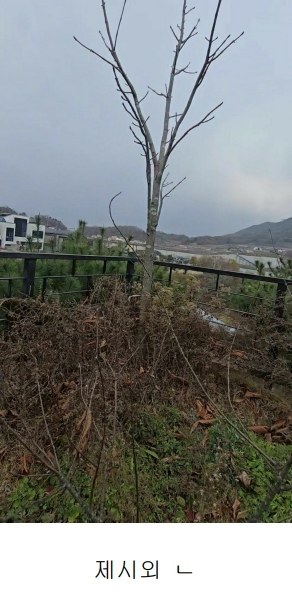 2024타경11407 충청북도 옥천군 군북면 증약리 1169 주택 경매 이미지