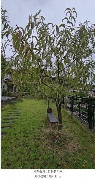 2024타경11407 충청북도 옥천군 군북면 증약리 1169 주택 경매 이미지