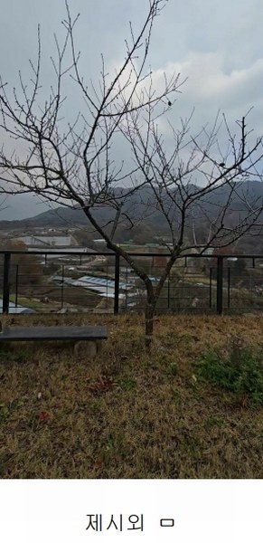 2024타경11407 충청북도 옥천군 군북면 증약리 1169 주택 경매 이미지