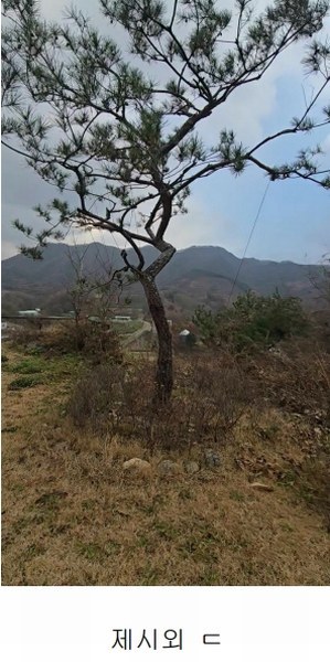 2024타경11407 충청북도 옥천군 군북면 증약리 1169 주택 경매 이미지