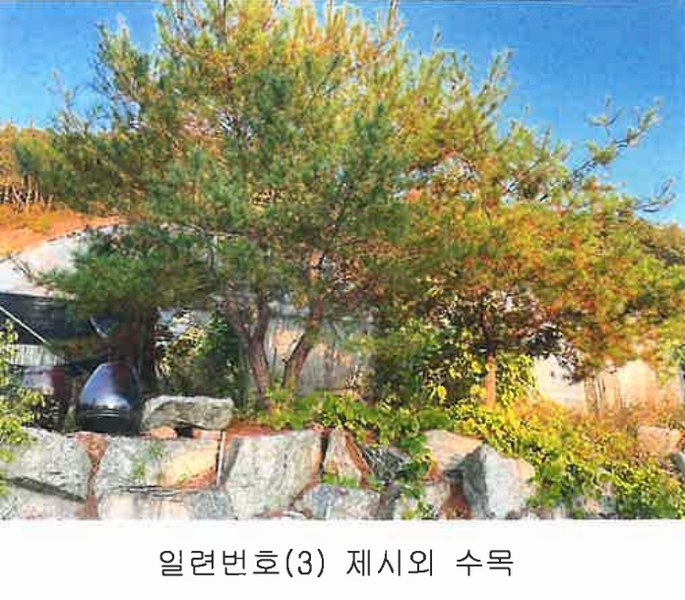 2024타경11452 충청북도 영동군 양산면 수두리 250-26 농지 경매 이미지
