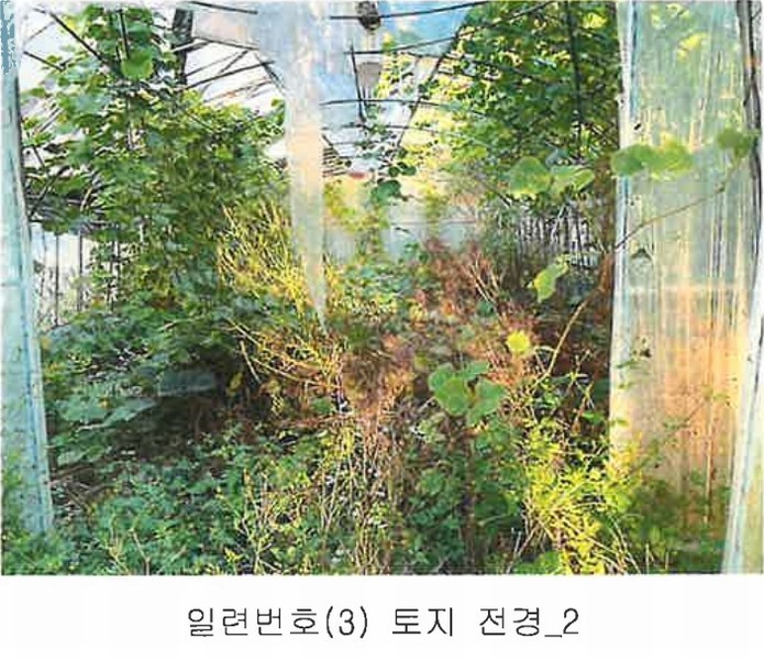 2024타경11452 충청북도 영동군 양산면 수두리 250-26 농지 경매 이미지