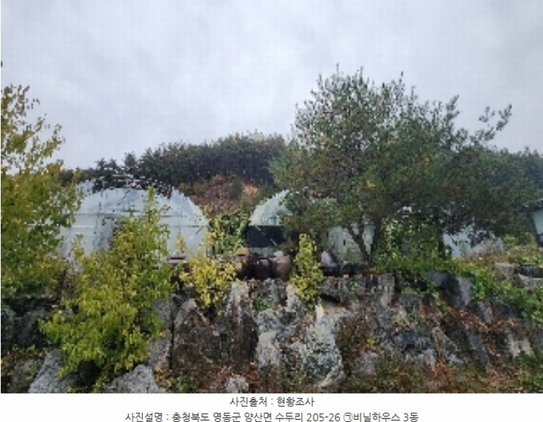 2024타경11452 충청북도 영동군 양산면 수두리 250-26 농지 경매 이미지