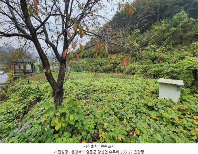 2024타경11452 충청북도 영동군 양산면 수두리 250-26 농지 경매 이미지