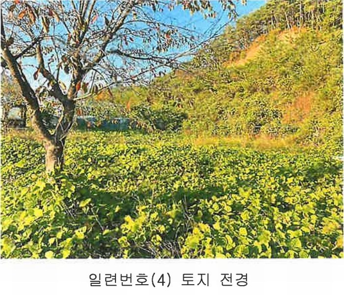 2024타경11452 충청북도 영동군 양산면 수두리 250-26 농지 경매 이미지