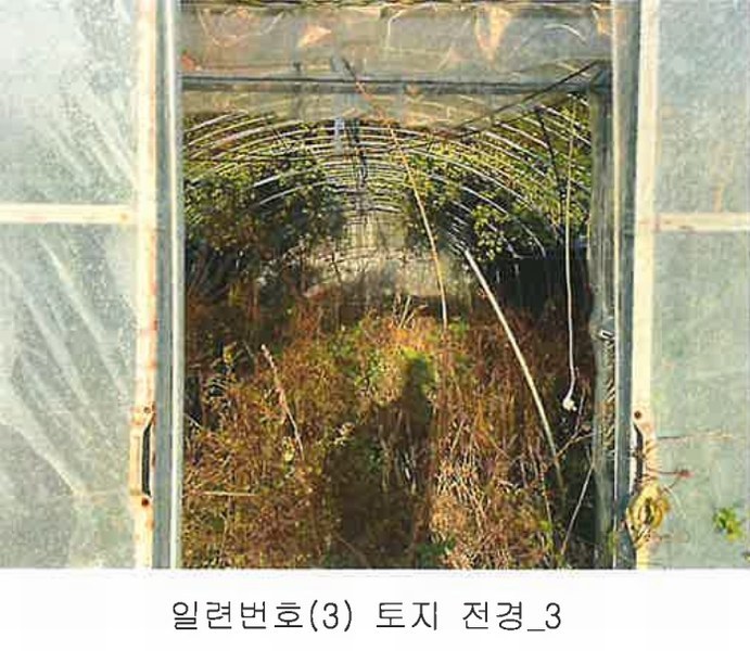 2024타경11452 충청북도 영동군 양산면 수두리 250-26 농지 경매 이미지