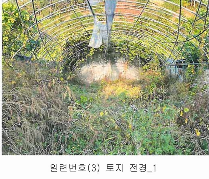 2024타경11452 충청북도 영동군 양산면 수두리 250-26 농지 경매 이미지