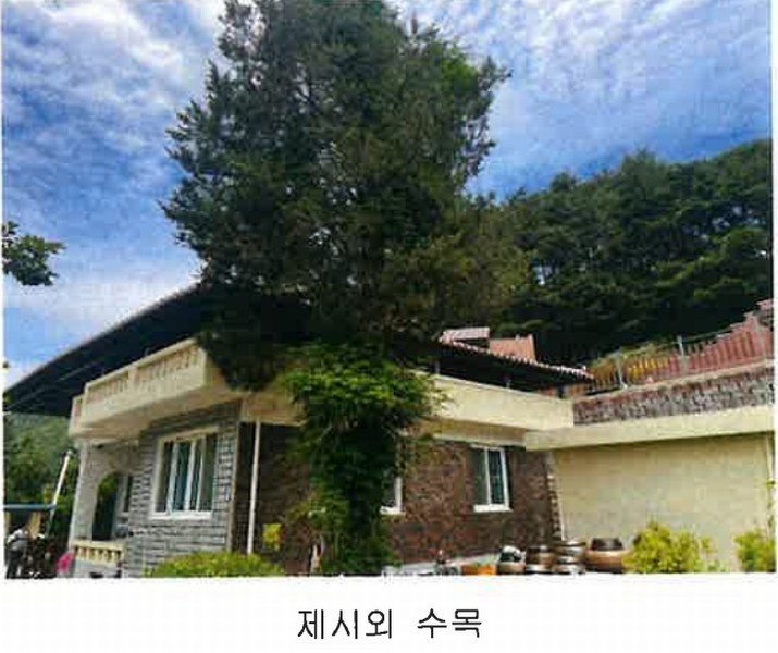 2024타경11551 충청북도 영동군 학산면 서산리 837-2 주택 경매 이미지