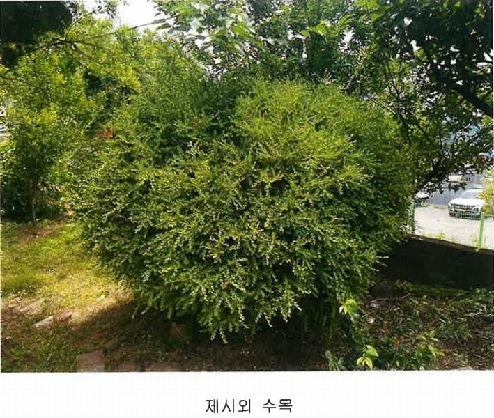 2024타경11551 충청북도 영동군 학산면 서산리 837-2 주택 경매 이미지