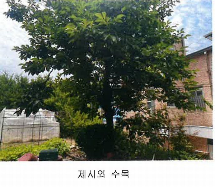 2024타경11551 충청북도 영동군 학산면 서산리 837-2 주택 경매 이미지