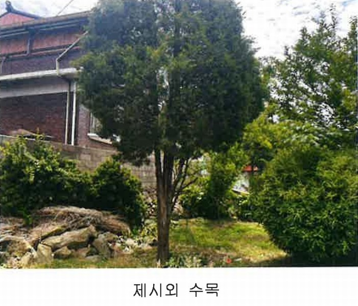 2024타경11551 충청북도 영동군 학산면 서산리 837-2 주택 경매 이미지