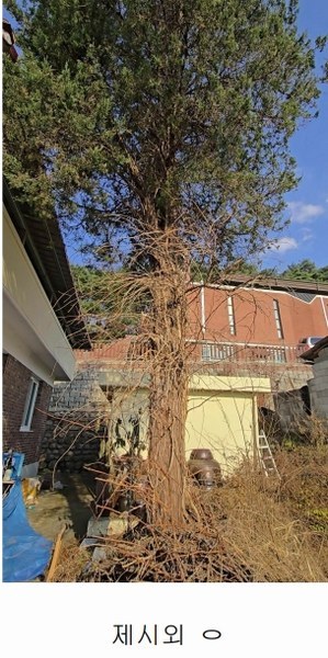 2024타경11551 충청북도 영동군 학산면 서산리 837-2 주택 경매 이미지