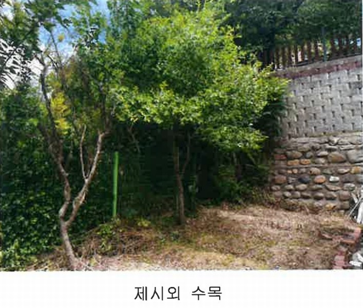2024타경11551 충청북도 영동군 학산면 서산리 837-2 주택 경매 이미지