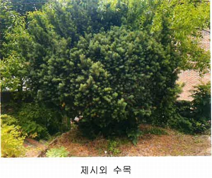 2024타경11551 충청북도 영동군 학산면 서산리 837-2 주택 경매 이미지