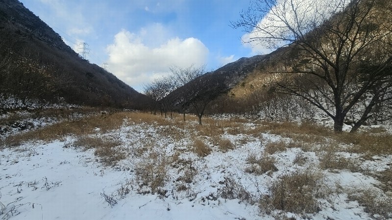 2024타경11636 충청북도 옥천군 군서면 금산리 1 농지 경매 이미지