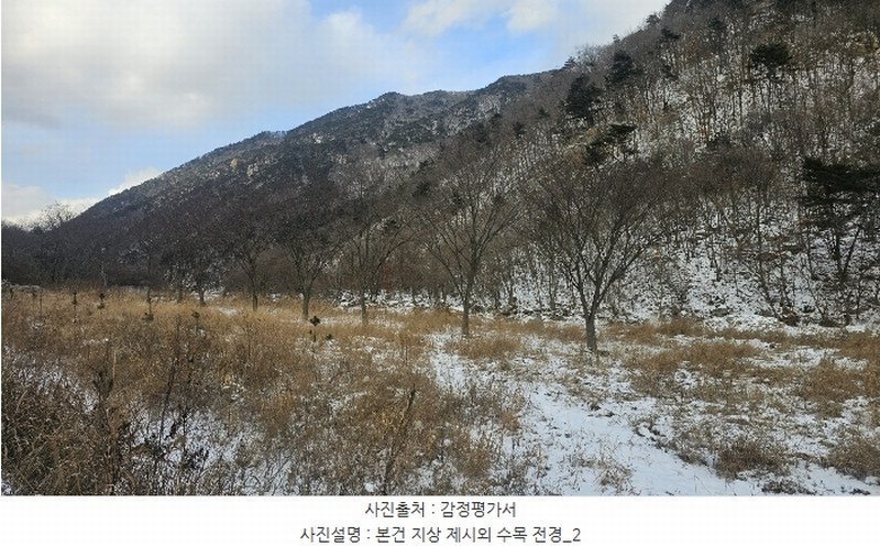 2024타경11636 충청북도 옥천군 군서면 금산리 1 농지 경매 이미지