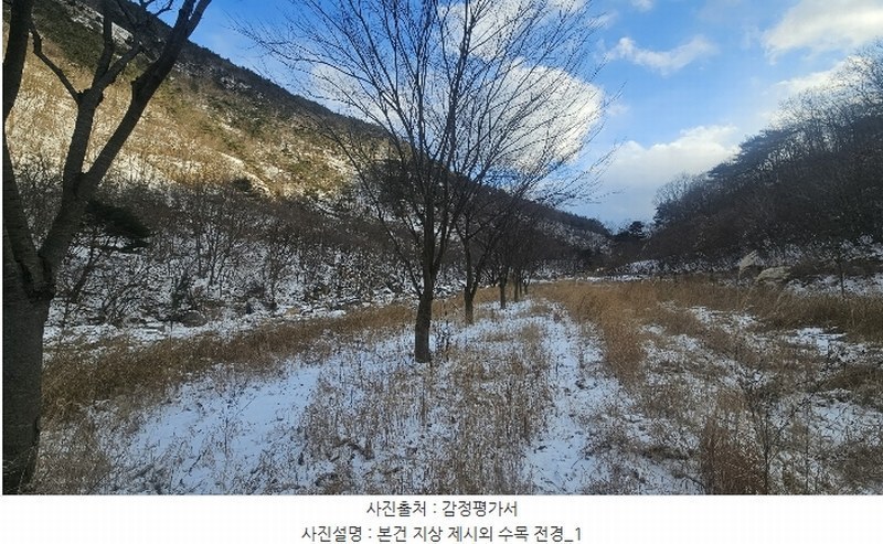 2024타경11636 충청북도 옥천군 군서면 금산리 1 농지 경매 이미지