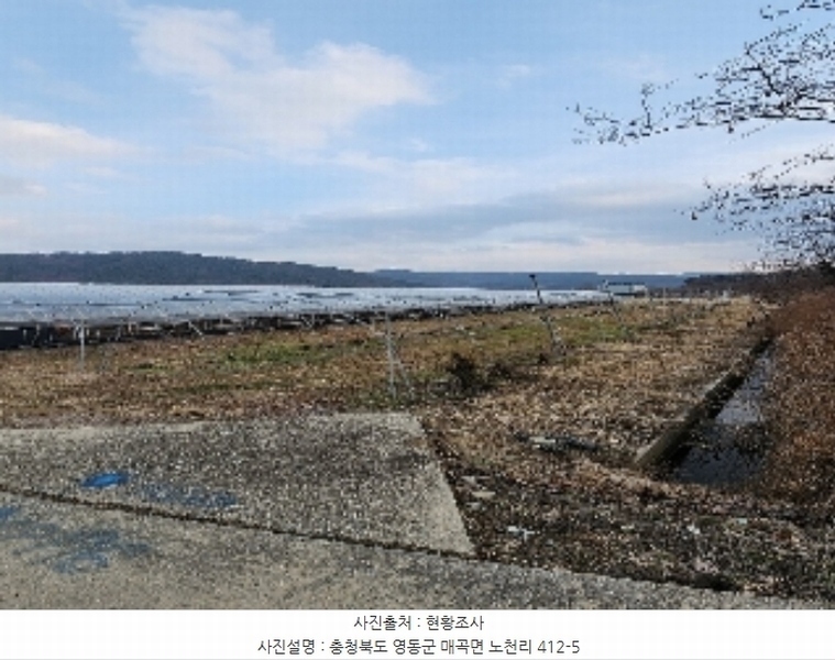 2024타경11667 충청북도 영동군 매곡면 노천리 412-5 농지 경매 이미지