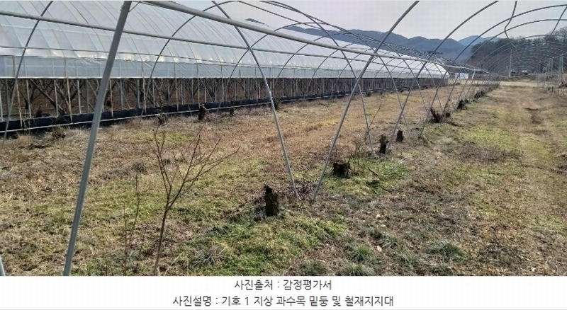 2024타경11667 충청북도 영동군 매곡면 노천리 412-5 농지 경매 이미지