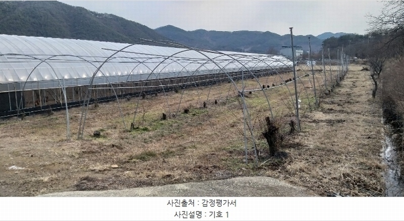 2024타경11667 충청북도 영동군 매곡면 노천리 412-5 농지 경매 이미지