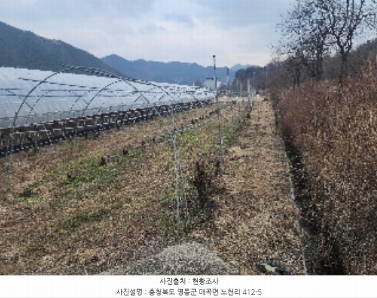2024타경11667 충청북도 영동군 매곡면 노천리 412-5 농지 경매 이미지