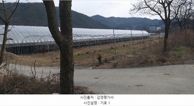 2024타경11667 충청북도 영동군 매곡면 노천리 412-5 농지 경매 이미지