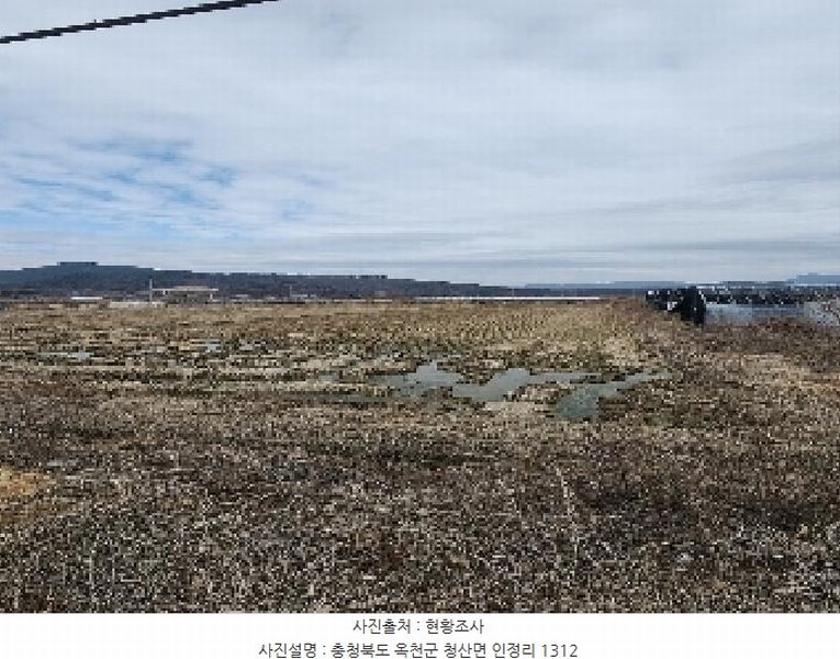 2025타경10107 충청북도 옥천군 청산면 인정리 1312 농지 경매 이미지