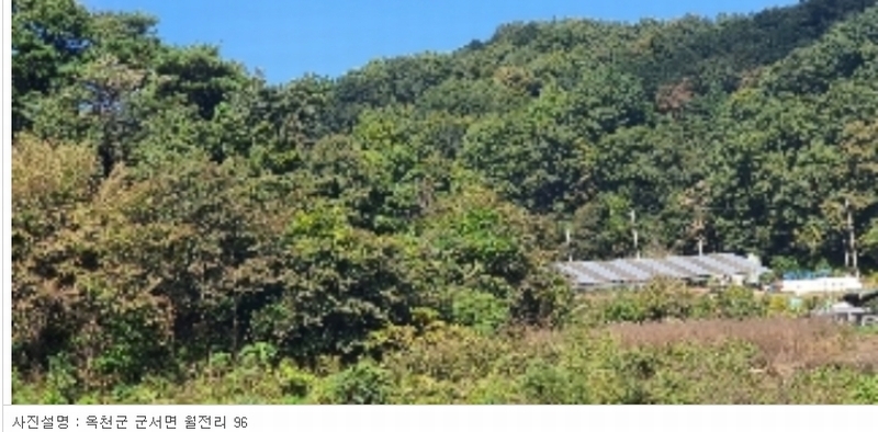2022타경502 충청북도 옥천군 군서면 월전리 96 농지 경매 이미지