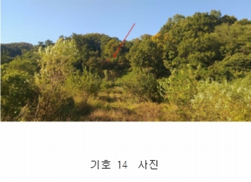 2022타경502 충청북도 옥천군 군서면 월전리 96 농지 경매 이미지