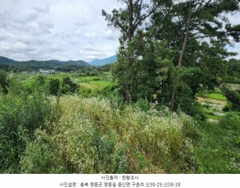 2024타경568 충청북도 영동군 용산면 구촌리 220-2 임야 경매 이미지