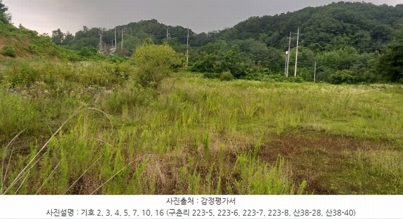 2024타경568 충청북도 영동군 용산면 구촌리 220-2 임야 경매 이미지