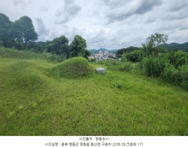 2024타경568 충청북도 영동군 용산면 구촌리 220-2 임야 경매 이미지