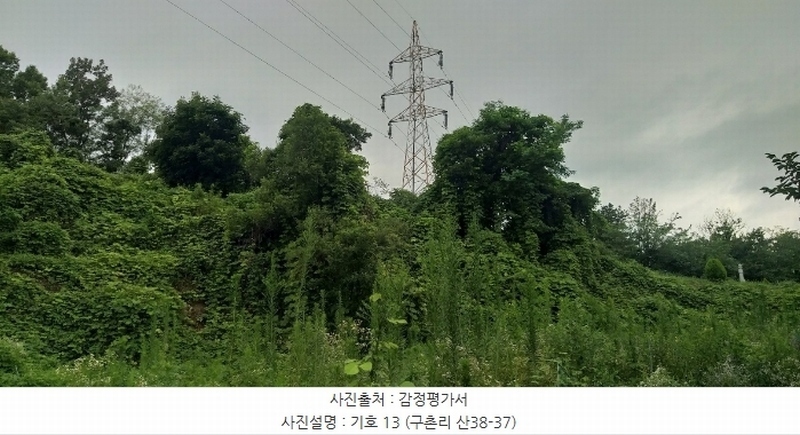 2024타경568 충청북도 영동군 용산면 구촌리 220-2 임야 경매 이미지