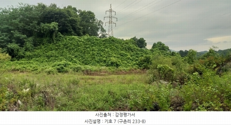 2024타경568 충청북도 영동군 용산면 구촌리 220-2 임야 경매 이미지
