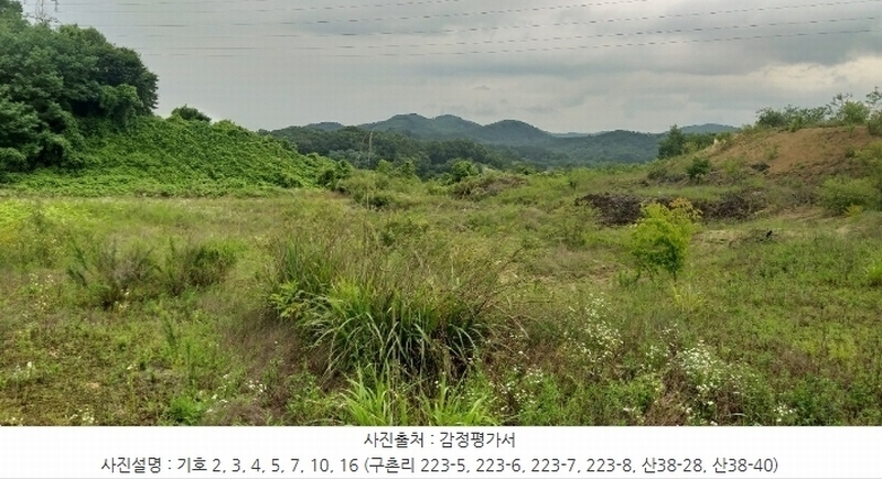 2024타경568 충청북도 영동군 용산면 구촌리 220-2 임야 경매 이미지