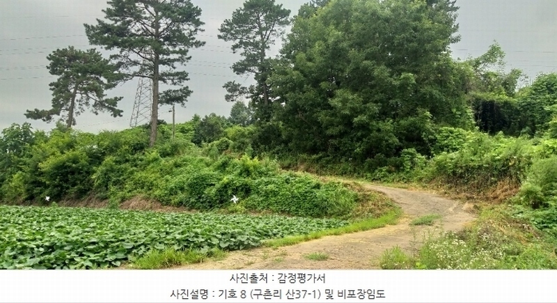 2024타경568 충청북도 영동군 용산면 구촌리 220-2 임야 경매 이미지