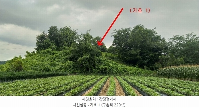 2024타경568 충청북도 영동군 용산면 구촌리 220-2 임야 경매 이미지