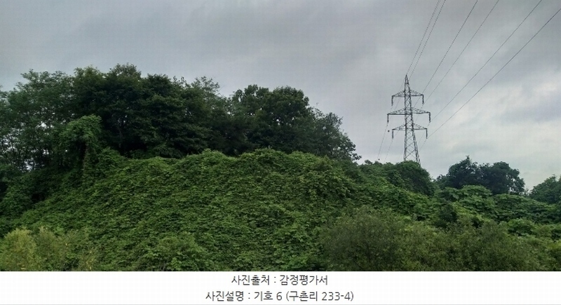 2024타경568 충청북도 영동군 용산면 구촌리 220-2 임야 경매 이미지