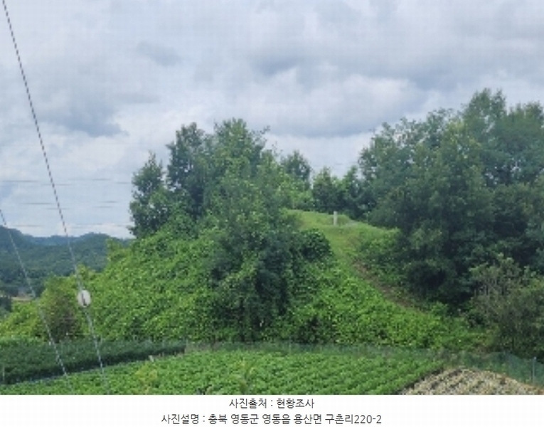 2024타경568 충청북도 영동군 용산면 구촌리 220-2 임야 경매 이미지